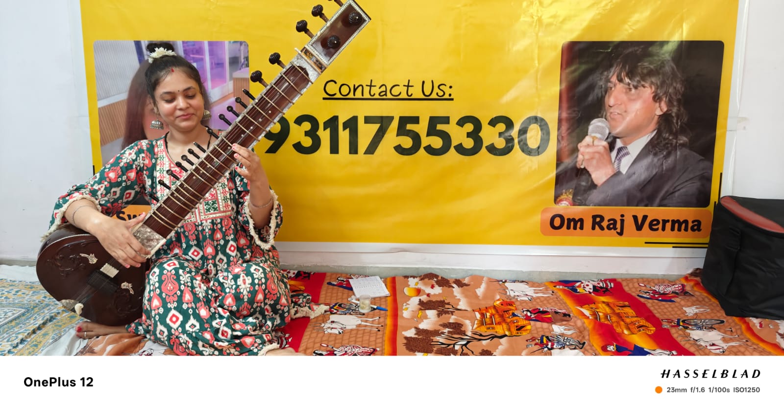 Sitar — image 2