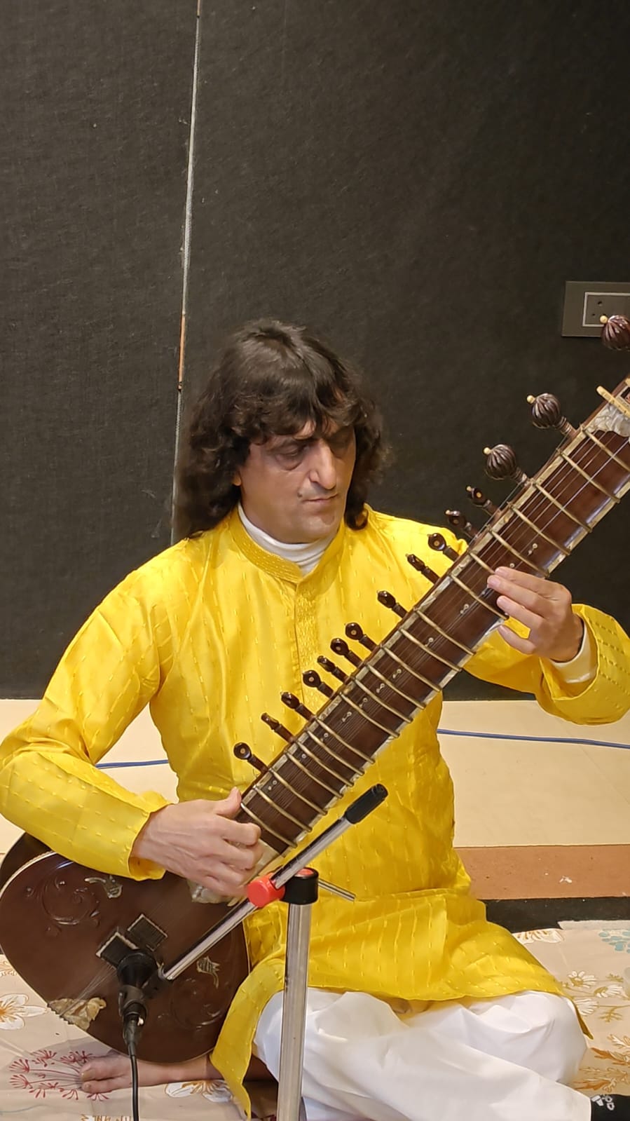 Sitar — image 3